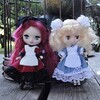 ドールアリス