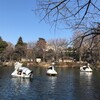 井の頭公園で撮影会