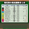 菊花賞2022攻略と最終R推奨穴馬（2022/10/23）［タイガーAI競馬予想］