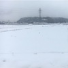 やっぱり雪掻きの年の瀬