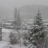 今朝は雪