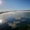 北海道2日目