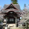 春の利根川周辺たび３〜安穏寺（大杉神社の隣のお寺）