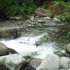最上川支流 7/21
