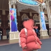 ディズニーランド