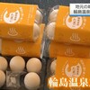 輪島の新しい特産品！その名も「輪島温泉たまご」ヽ(≧▽≦)ﾉ！