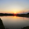 6月14日の田んぼ夕景＆今日の独り言