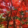   西山　興隆寺へ紅葉見物  ( 2012-11-25 )