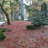 去年の永平寺境内