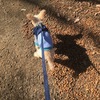 ホメオパシーの出番