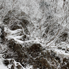 【登山】2012.12/8　氷ノ山（冬季）後編