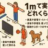 1mって実際どれくらい？簡単にわかる身近な目安