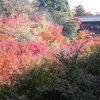 東福寺その後