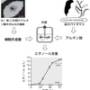 京都大学　海藻のアルギン酸からのエタノール生産に世界で初めて成功