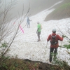 ◆'18/06/16       障子ヶ岳④…雪渓にドキドキ・花にワクワクしつつ下山。