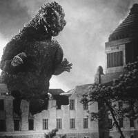 映画大好き