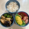 【雑記】何もやりたくない日。作り置きを詰めるだけのお弁当。