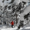 〈個人山行〉Team BCS ゲレンデ＆オフピステ～山岳スキートレ～