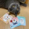 ニャンコ先生と僕(コテツ　猫　 1歳)