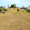 【帝塚山古墳】前方後円墳のカタチを「見る」ことができる墳丘の景色