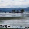 諏訪湖~黄身に塩は~かけま～す