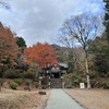 【明神ヶ岳・金時山登山：番外編】紅葉と温泉を楽しんで