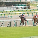 マサムネの競馬日記