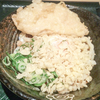 温玉ぶっかけうどん小と鶏天