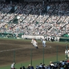 高校野球ファンはこの時期からが１年で一番楽しい