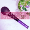 資生堂シュエトゥールズ フェースカラーブラシ（L）を買ってみたのでレビューしてみる