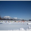 今年こそ氷上ワカサギ釣りをやってみたいなと思っている人のために