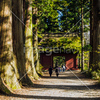 信州　長野市戸隠　戸隠神社奥宮参道の杉並木と隋神門