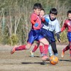 印西コスモス杯（４年生）