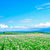 Azure構築のセキュリティ対策(アプリ開発寄り)