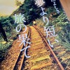 海岸線を電車で♬‥‥