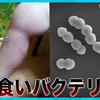 劇症型溶連菌で致死率３割だと！