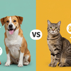 犬 猫 どっち が 人気か徹底比較 ペットとしての魅力や飼いやすさの違いを詳しく解説