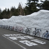 針道駆楽部ツーリング雪の回廊