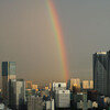 東京の雨