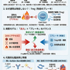 自己免疫疾患における分子相同性（Molecular Mimicry）――制御性T細胞（Treg）まで含めた臨床的整理