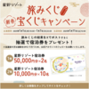 今年の年末年始のNo.1キャンペーン【星野リゾートのブランド力×おみくじ】