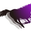 【追い切り注目馬】【常総S】他　2024/12/7(土) 中山競馬　ちょっとオマケして