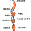 動く楽しさとは？⑤