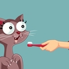 ネコの歯周病を知ろう＜市川斉のネコを知ろうブログ＞