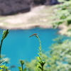 群馬の旅（奥四万個、暮坂峠、野反湖）