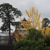 金沢城公園の紅葉「菱櫓編」