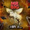 What if... / Mr.Big