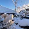 雪で仕事を休んでハッピーだった日☃️