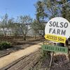 SOLSO FARM（ソルソファーム）でグリーンにまみれる