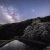 【天体撮影記 第56夜】 長野県 駒つなぎの桜舞う星空の夜に